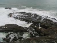 Albums/20060200-New Zealand 2006/20060313-Catlins/10